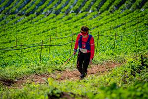 BIB: 
                            <button type="button" onclick="openModal(19163057)" class="btn btn-primary btn-sm float-right btn-popup" data-toggle="modal" data-target=".modal-high-quality">
                        <i class="fas fa-shopping-cart"></i> Add to Cart
                    </button>
                                            <button type="button" onclick="isThisMe(19163057, true)" class="btn btn-success btn-sm float-right btn-popup btn-isme hidden" data-toggle="tooltip" data-placement="bottom" title="นี่คือรูปของคุณใช่ไหม คลิกที่นี่เพื่อเอาเข้าอัลบั้ม">
                        <i class="fas fa-plus"></i> Add to album
                    </button>
                    <button type="button" onclick="isThisMe(19163057, false)" class="btn btn-warning btn-sm float-right btn-popup btn-isnotme hidden">
                        <i class="fas fa-ban"></i> Remove from album
                    </button>